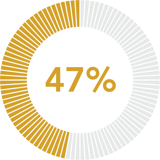 47%.png