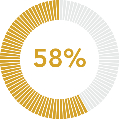 58%.png